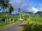 COOK ISLANDS, Rarotonga, island interior and country lane, CI713JPL