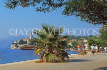 CROATIA, Elaphite Islands (Dubrovnik Coast), LOPUD, waterfront, CRO443JPL