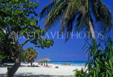CUBA, Varadero, beach, thatched sunshades and coconut tree, CUB113JPL