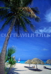 CUBA, Varadero, beach, thatched sunshades and coconut tree, CUB728JPL