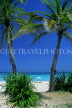 CUBA, Varadero, beach, through coconut trees, CUB720JPL