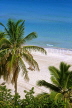 CUBA, Varadero, beach and coconut trees, CUB191JPL