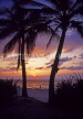 CUBA, Varadero, sunset through coconut trees, CUB170JPL