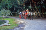 CUBA, Varadero, tourists on horse drawn carriage tour, CUB226JPL