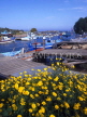 CYPRUS, Aiya Napa area, Potamos fishing village, waterfront and boats, CYP187JPL