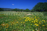 CYPRUS, Akamas area, countryside and spring flowers, CYP166JPL