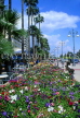 CYPRUS, Larnaca, Promenade lined with flower beds and palm trees, CYP264JPL