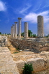CYPRUS, Limassol area, ruins of the Sanctuary of Apollo Hylates, CYP151JPL