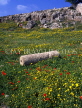 CYPRUS, Paphos, Kato Paphos, wild flowers amidst ancient ruins (at Roman Agora), CYP267JPL
