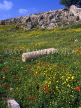 CYPRUS, Paphos, Kato Paphos, wild flowers amidst ancient ruins (at Roman Agora), CYP268JPL