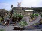 Canary Isles, LANZAROTE, Jardin de Cactus (Cactus Gardens), SPN1300JPL