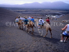 Canary Isles, LANZAROTE, Timanfaya National Park, camel excursion, LAZ238JPL