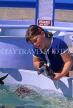 Cayman Islands, GRAND CAYMAN, Cayman Turtle Farm, girl picking up baby turtle, CAY216JPL