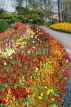 Channel Islands, JERSEY, St Helier, Howard Davis Park, flowerbeds, UK10391JPL