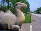 China, BEIJING, Ming Tombs, Sacred Way (avenue of stone figures), large camel figure, CH1339JPL