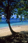DOMINICAN REPUBLIC, North Coast, Playa Dorada, beach, view through coconut tree, DR219JPL