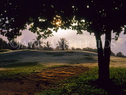 DOMINICAN REPUBLIC, North Coast, Playa Dorada, dusk view by the Golf Course, DR235JPL