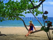 DOMINICAN REPUBLIC, North Coast, Playa Dorada, tourist relaxing on tree branch, DR272JPL