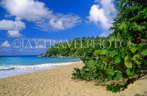 DOMINICAN REPUBLIC, North Coast, Playa Grande beach, DR220JPLA