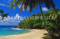 DOMINICAN REPUBLIC, North Coast, Playa Grande beach, DR347JPL