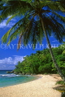 DOMINICAN REPUBLIC, North Coast, Playa Grande beach and coconut tree, DR162JPL