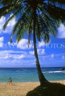 DOMINICAN REPUBLIC, North Coast, Playa Grande beach and coconut tree, DR166JPL