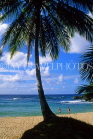 DOMINICAN REPUBLIC, North Coast, Playa Grande beach and coconut tree, DR346JPL