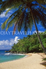 DOMINICAN REPUBLIC, North Coast, Playa Grande beach and coconut tree, DR474JPL