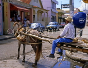 DOMINICAN REPUBLIC, North Coast, Puerto Palata, man riding horse and cart, DR104JPL