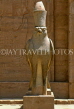 EGYPT, Edfu, Temple of Horus, statue of Horus, EGY135JPL