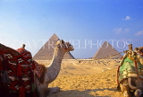 EGYPT, Giza, Pyramids and camels, EGY57JPL