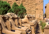 EGYPT, Luxor, Karnak Temple, row of Sphinxes, EGY21JPL