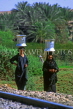 EGYPT, Luxor, women carrying water pots, EGY87JPL