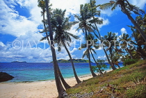 FIJI, Mamanuca Islands, Matamanoa Island, beach and coconut trees, FIJ842JPL