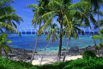 FIJI, Mamanuca Islands, Matamanoa Island, coastal view through coconut trees, FIJ619JPL
