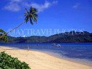 FIJI, Taveuni, Matagi (Matangi) Island, beach, holidaymaker and coconut palm, FIJ652JPL