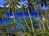FIJI, Taveuni, Matagi (Matangi) Island, seascape through coconut trees, FIJ1818JPL