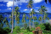 FIJI, Taveuni, Matagi (Matangi) Island, seascape through coconut trees, FIJ777JPL