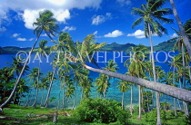 FIJI, Taveuni, Matagi (Matangi) Island, seascape through coconut trees, FIJ838JPL