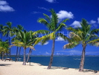 FIJI, Viti Levu, Nadi Bay area, coast and coconut trees, FIJ112JPL
