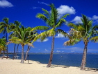 FIJI, Viti Levu, Nadi Bay area, coast and coconut trees, FIJ745JPL