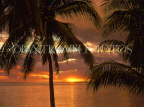 FIJI, Viti Levu, Nadi Bay area, sunset through coconut trees, FIJ1189JPL