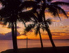 FIJI, Viti Levu, Nadi Bay area, sunset through coconut trees, FIJ727JPL