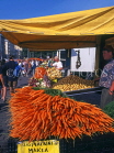 FINLAND, Helsinki, Market Square, vegetable stalls, carrots, FIN747JPL