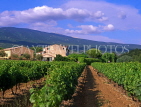 FRANCE, Provence, BEDOIN, vineyards, FRA1484JPL