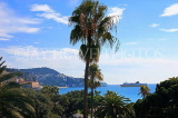 FRANCE, Provence, Cote d'Azure, NICE, coast and palm trees, FRA2341JPL