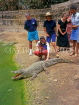GAMBIA, Bakau Crocodile Pool and tourists, GAM855JPL