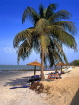 GAMBIA, Banjul, beach with coconut ree, sunbathers and thatched sunshades, GAM816JPL
