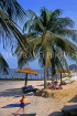 GAMBIA, Banjul, beach with sunbathers, coconut trees and thatched sunshades, GAM1031JPL