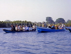GAMBIA, River Gambia, tourists in dug out canoes (pirogue) on bird watching tour, GAM861JPL